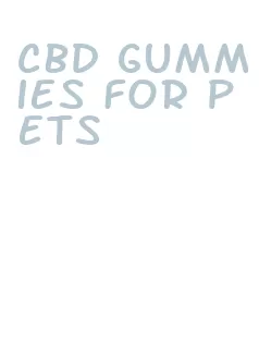 cbd gummies for pets