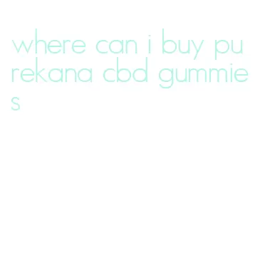 where can i buy purekana cbd gummies