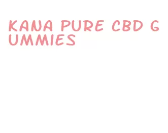 kana pure cbd gummies