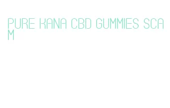 pure kana cbd gummies scam