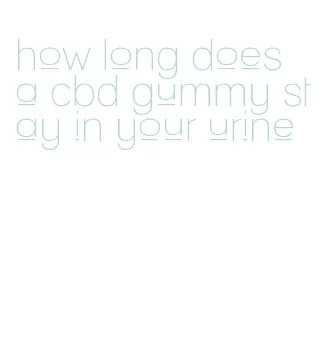 how long does a cbd gummy stay in your urine