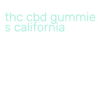 thc cbd gummies california