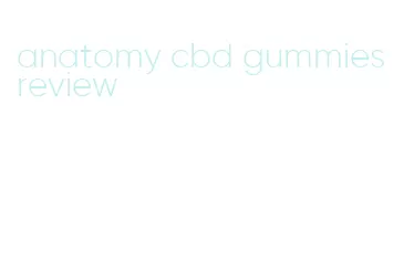 anatomy cbd gummies review