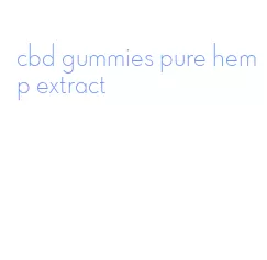 cbd gummies pure hemp extract