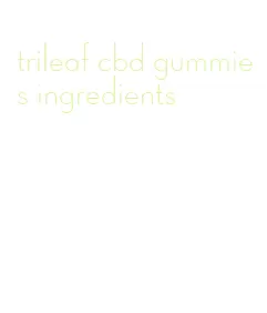 trileaf cbd gummies ingredients