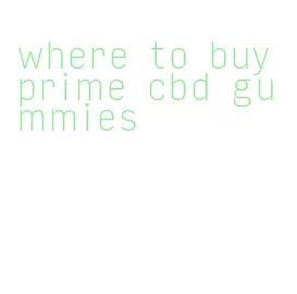 where to buy prime cbd gummies