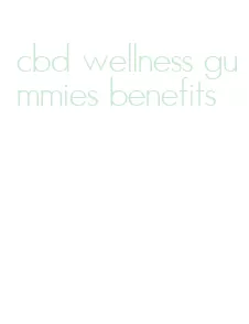 cbd wellness gummies benefits