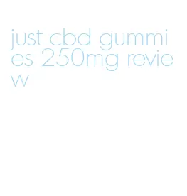 just cbd gummies 250mg review