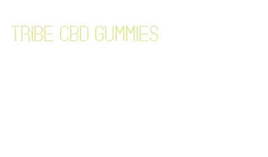 tribe cbd gummies