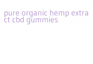 pure organic hemp extract cbd gummies