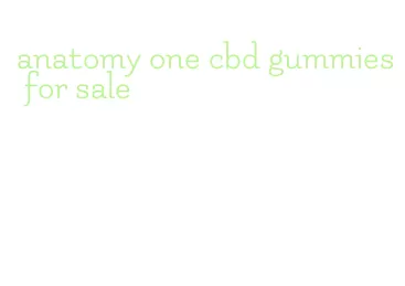 anatomy one cbd gummies for sale