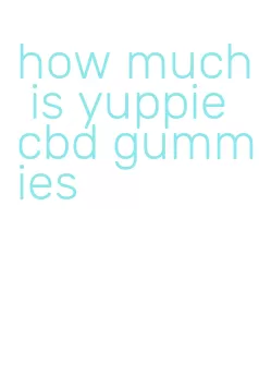 how much is yuppie cbd gummies