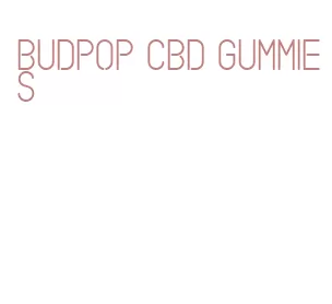 budpop cbd gummies