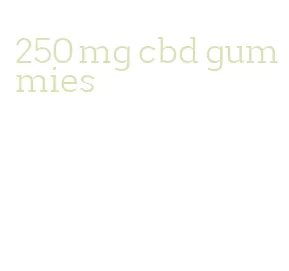 250 mg cbd gummies