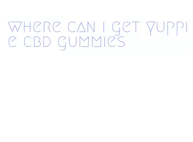 where can i get yuppie cbd gummies