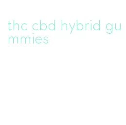 thc cbd hybrid gummies