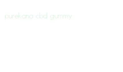 purekana cbd gummy