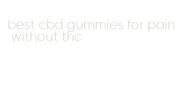 best cbd gummies for pain without thc