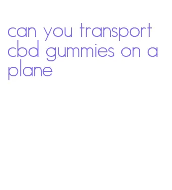 can you transport cbd gummies on a plane