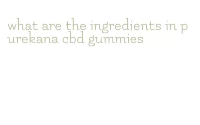 what are the ingredients in purekana cbd gummies