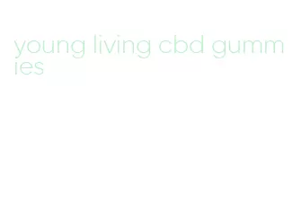 young living cbd gummies