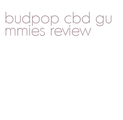 budpop cbd gummies review