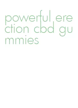 powerful erection cbd gummies