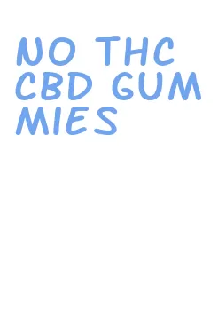 no thc cbd gummies