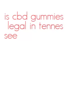 is cbd gummies legal in tennessee