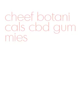 cheef botanicals cbd gummies