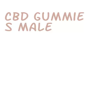 cbd gummies male