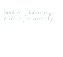 best cbd isolate gummies for anxiety