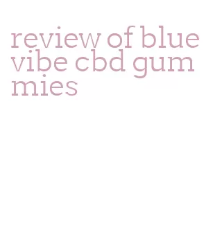 review of blue vibe cbd gummies