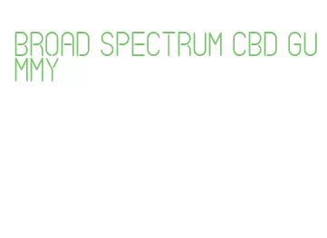 broad spectrum cbd gummy