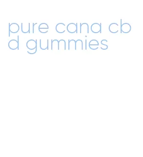 pure cana cbd gummies