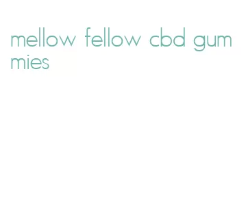 mellow fellow cbd gummies