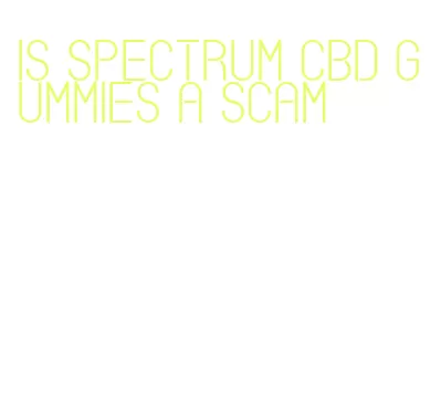 is spectrum cbd gummies a scam