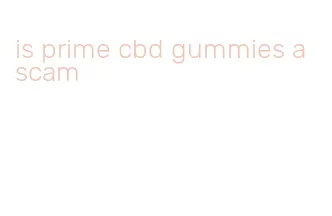 is prime cbd gummies a scam