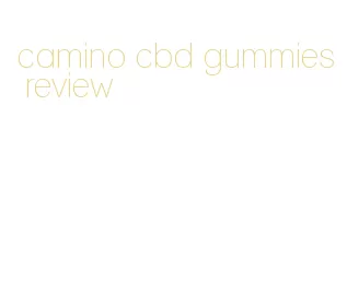 camino cbd gummies review