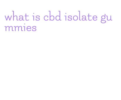 what is cbd isolate gummies