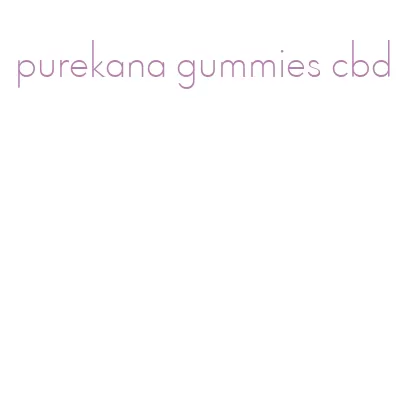 purekana gummies cbd