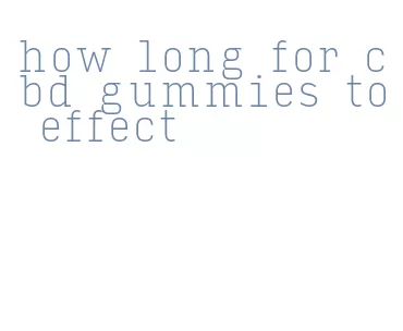 how long for cbd gummies to effect