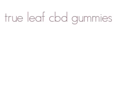 true leaf cbd gummies