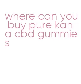 where can you buy pure kana cbd gummies