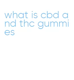 what is cbd and thc gummies