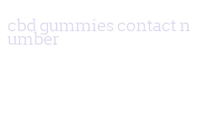 cbd gummies contact number