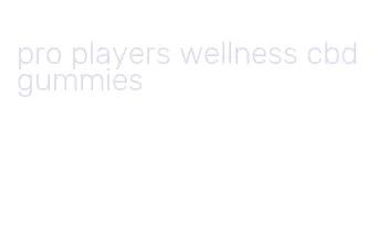 pro players wellness cbd gummies