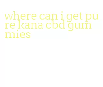 where can i get pure kana cbd gummies