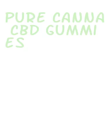 pure canna cbd gummies