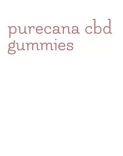 purecana cbd gummies